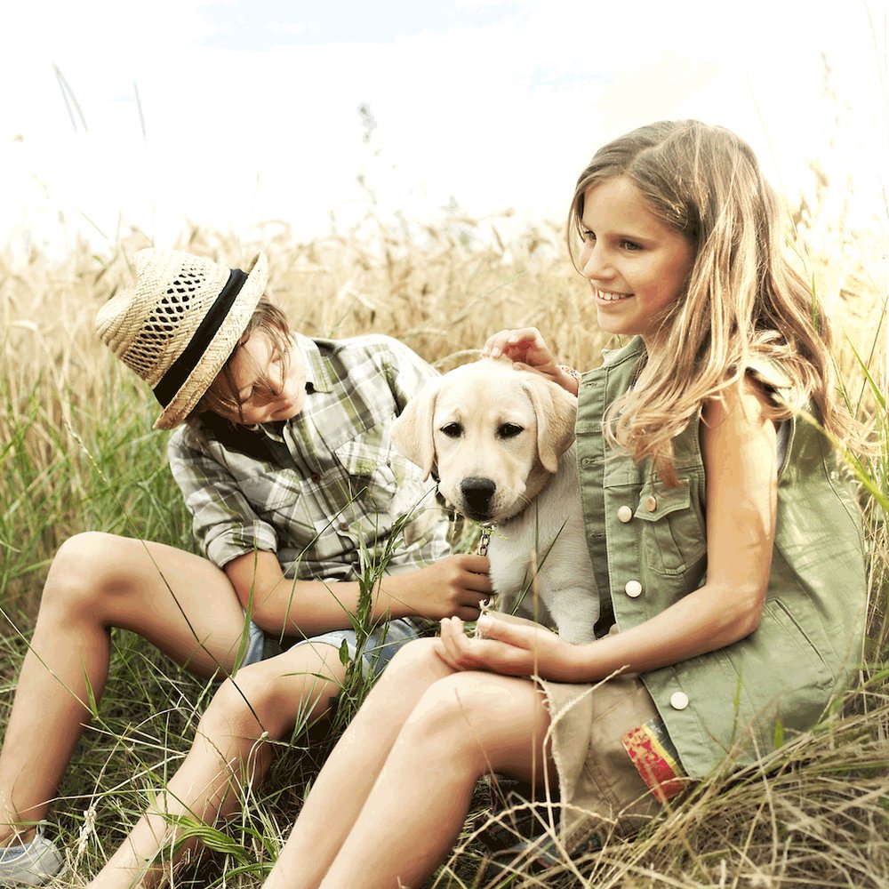 🌺 알로하 가든 다테야마 (아로하 가덴 다테야마) 이미지 5